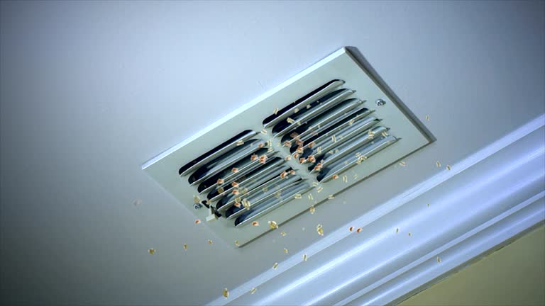 Best Air Duct Cleaning Near Me  in Bryn Mawr, PA