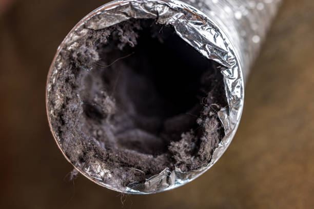 Best Affordable Air Duct Cleaning  in Bryn Mawr, PA