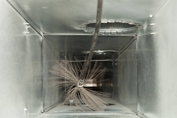 Best Air Duct Mold Removal  in Bryn Mawr, PA
