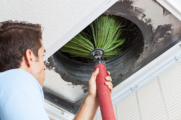 Best Affordable Air Duct Cleaning  in Bryn Mawr, PA